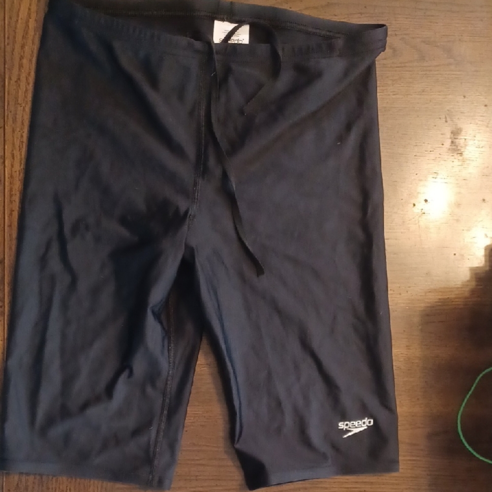 Speedo Dark Swim Shorts